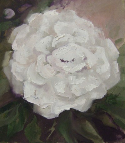 Peony