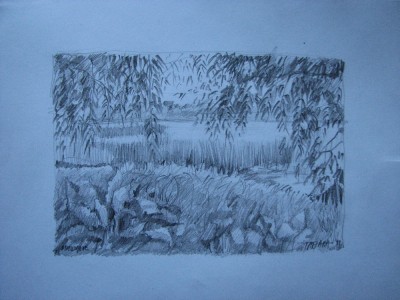 Sketch